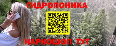 стаф Будённовск