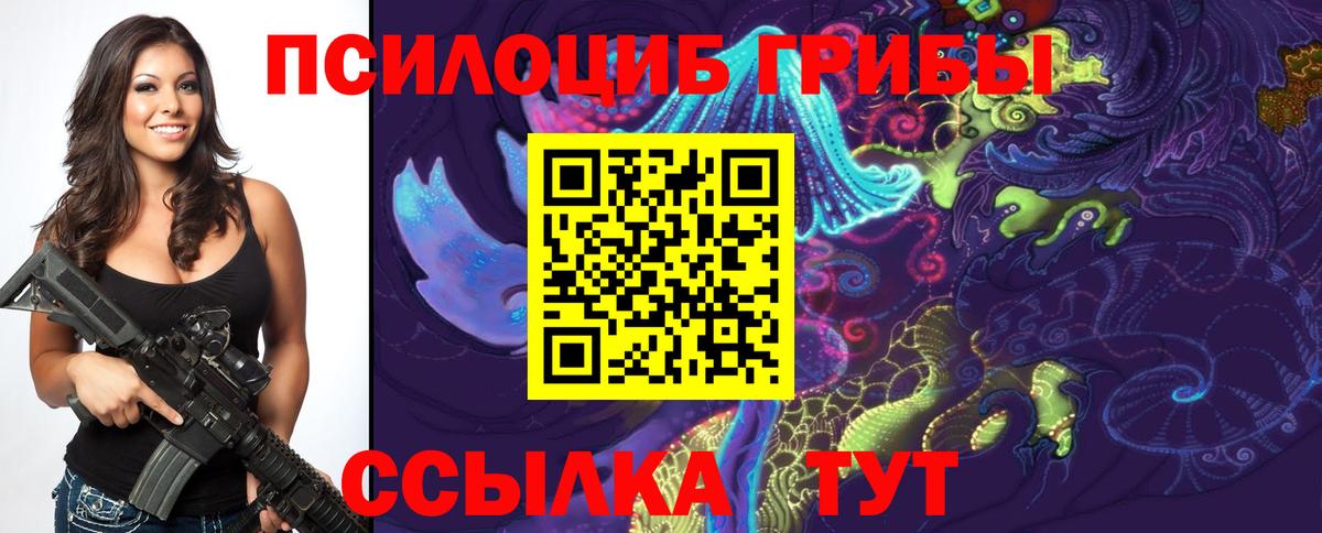 Псилоцибиновые грибы прущие грибы Ноябрьск